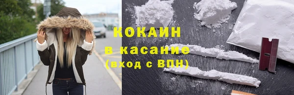 индика Белоозёрский