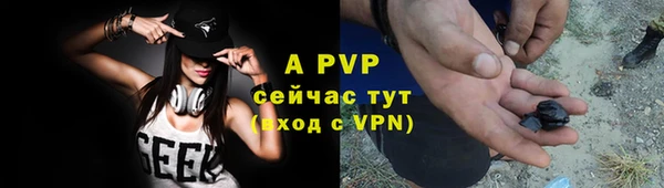 индика Белоозёрский