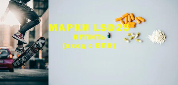 индика Белоозёрский
