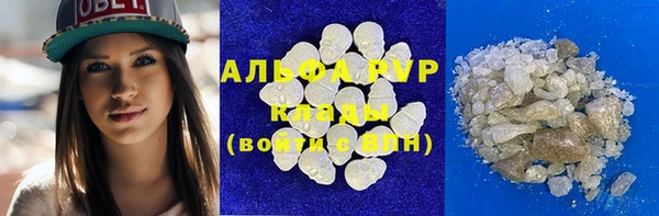 индика Белоозёрский