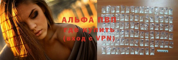 индика Белоозёрский